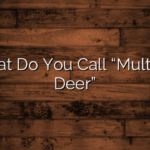 What Do You Call “Multiple Deer”