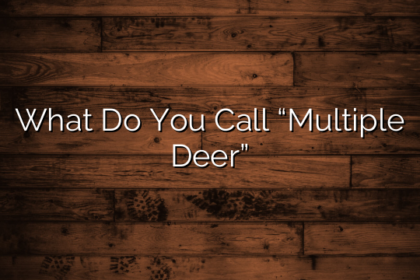 What Do You Call “Multiple Deer”