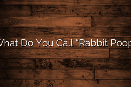 What Do You Call “Rabbit Poop”