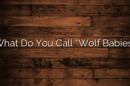 What Do You Call “Wolf Babies”