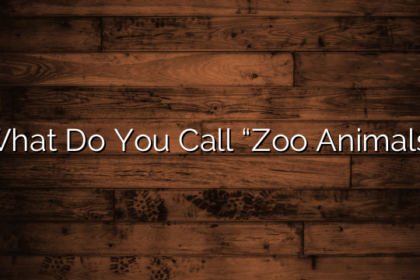 What Do You Call “Zoo Animals”
