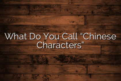 What Do You Call “Chinese Characters”