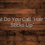 What Do You Call “Hair That Sticks Up”
