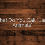 What Do You Call “Land Animals”