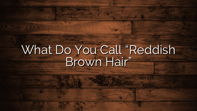 What Do You Call “Reddish Brown Hair”