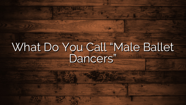What Do You Call “Male Ballet Dancers”