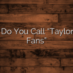 What Do You Call “Taylor Swift Fans”