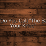 What Do You Call “The Back Of Your Knee”