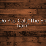 What Do You Call “The Smell Of Rain”